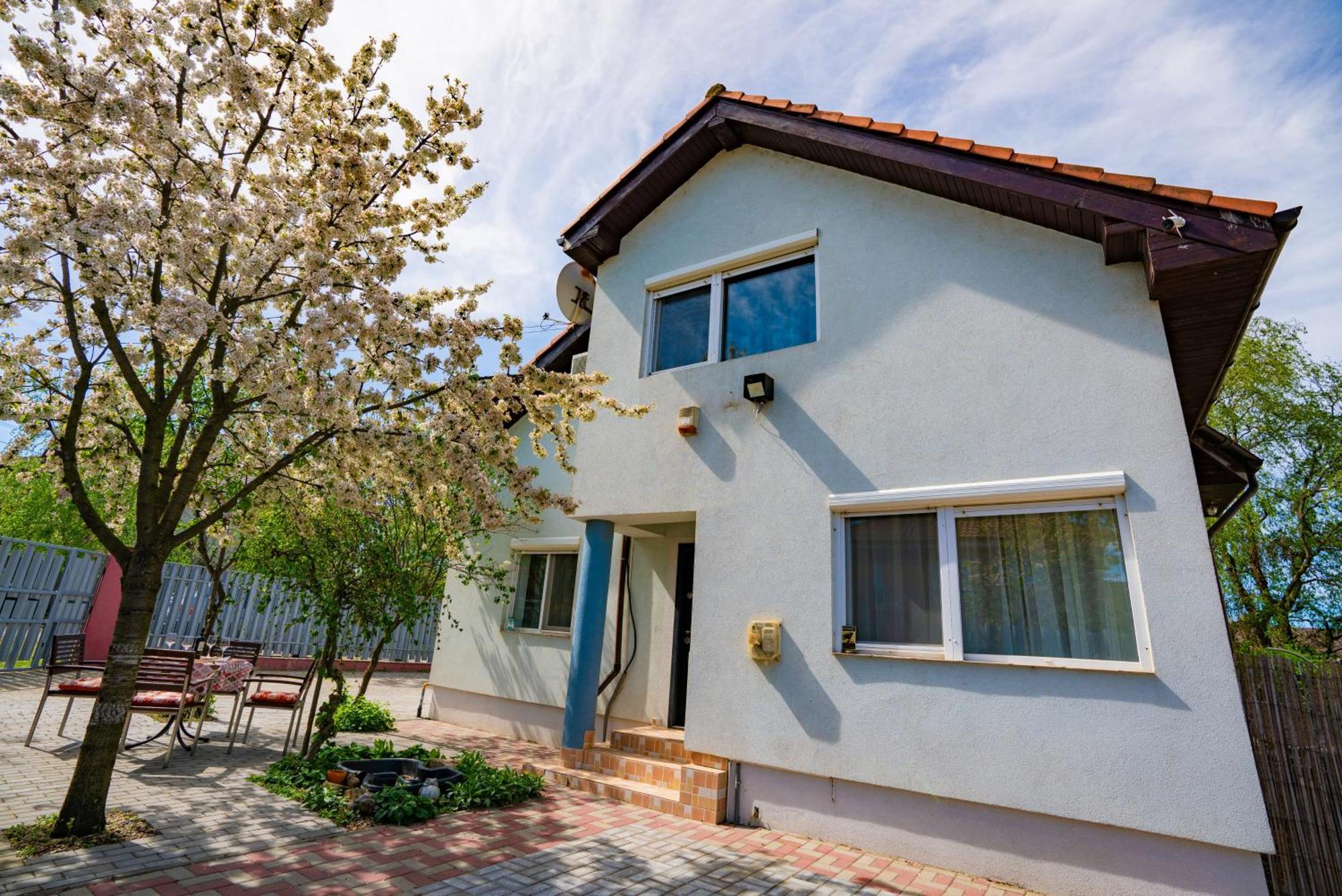 Pitstop Apartments Dumbravita  Екстериор снимка