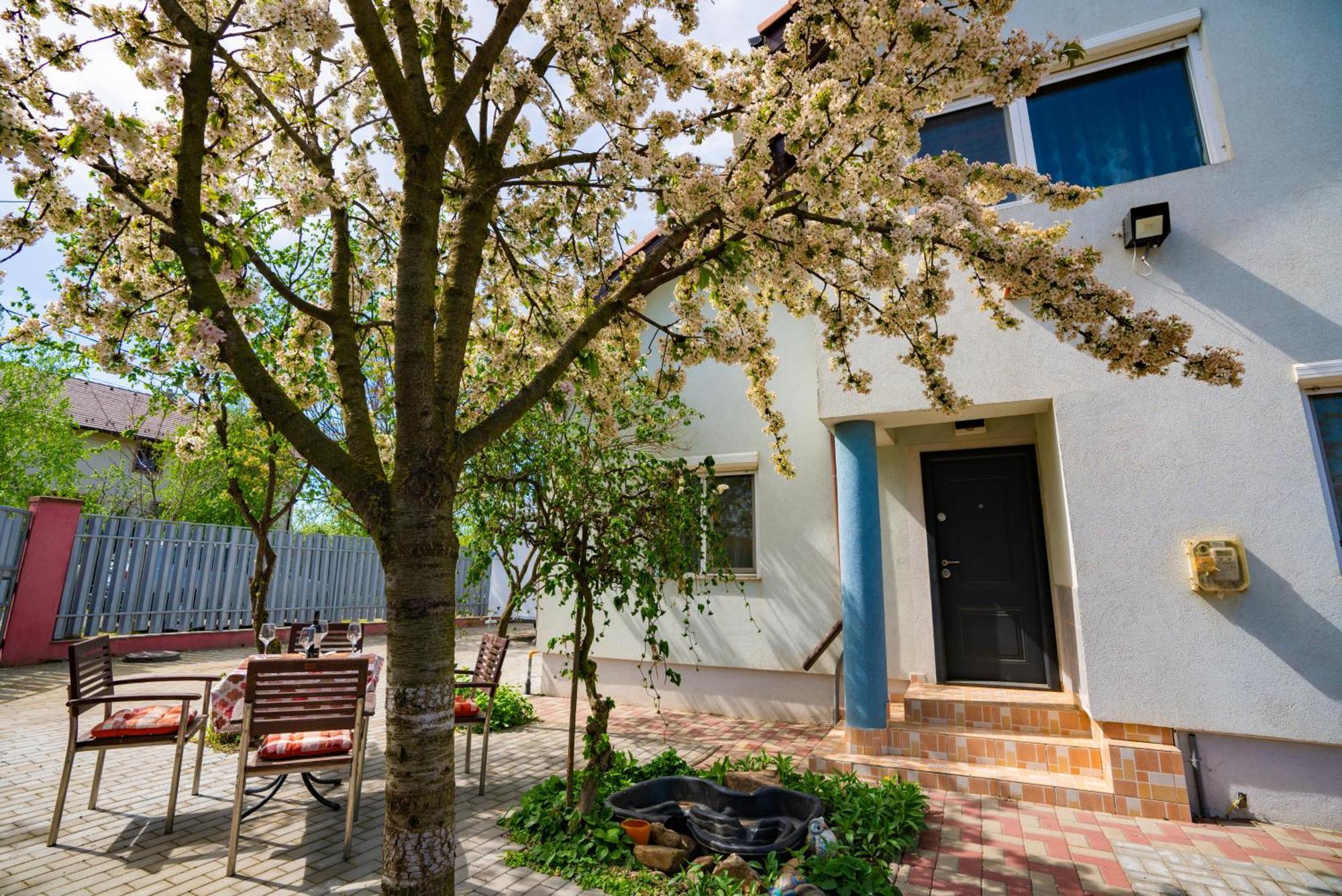 Pitstop Apartments Dumbravita  Екстериор снимка
