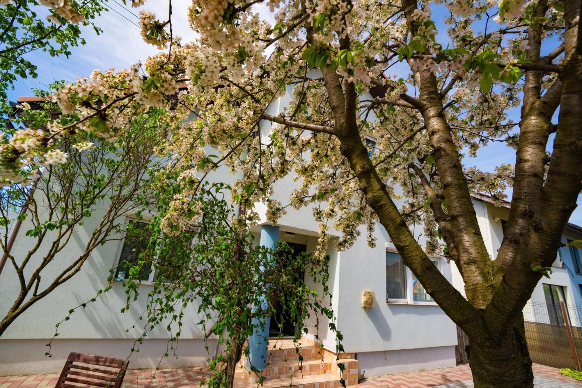 Pitstop Apartments Dumbravita  Екстериор снимка